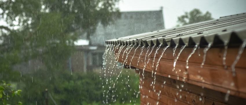 Your Roof, Summer Storms, and Childcare