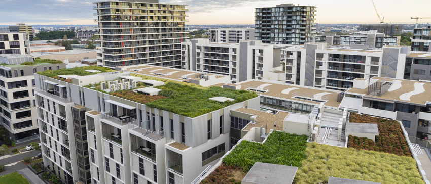 5 Lessons Learned in the Commercial Roofing Industry