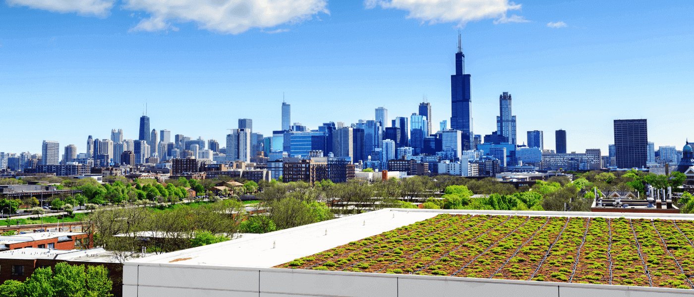 What is a Green Roof, and Should Your Building Have It?