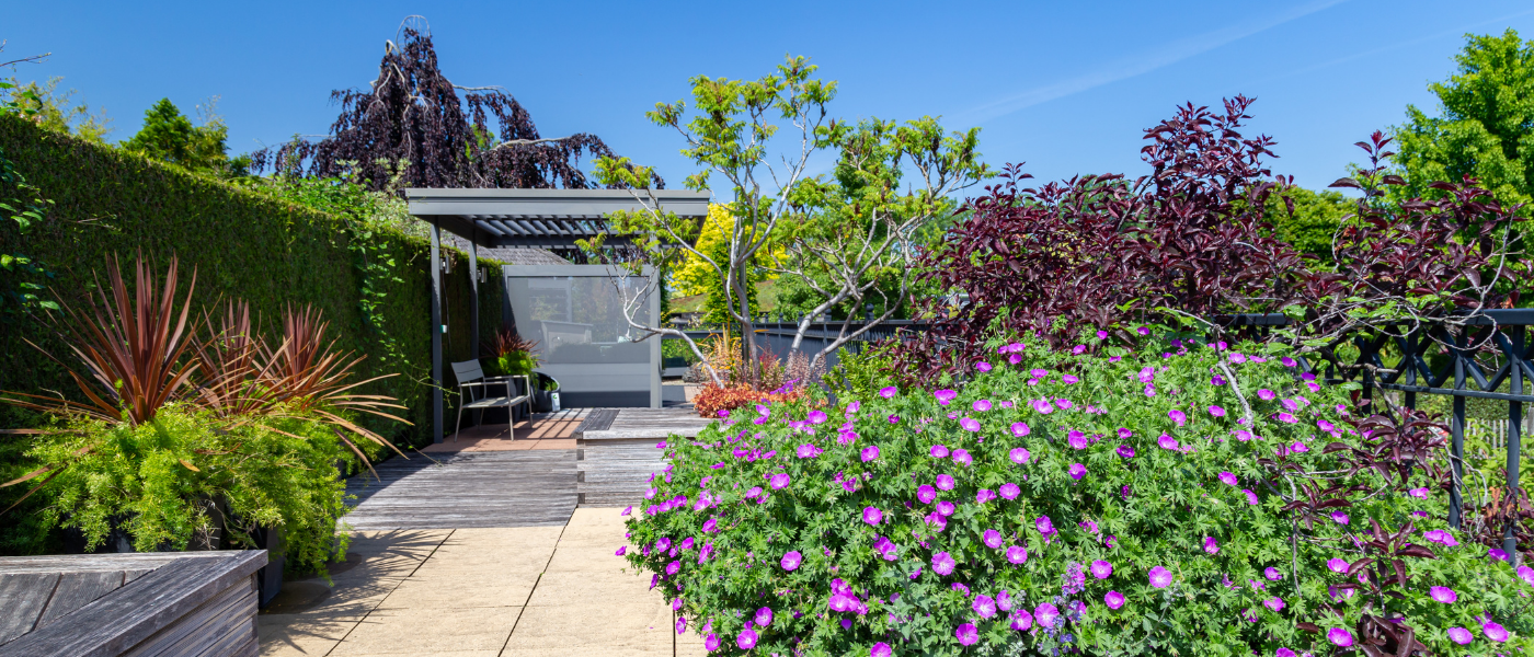 3 Reasons to Consider a Garden Roof